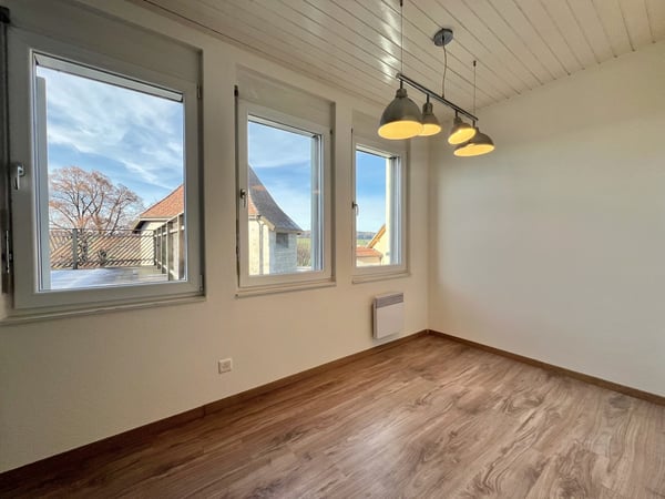 Appartement atypique 1.5 pièces avec grande terrasse 5
