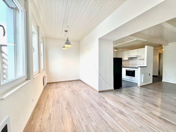 Appartement atypique 1.5 pièces avec grande terrasse 3