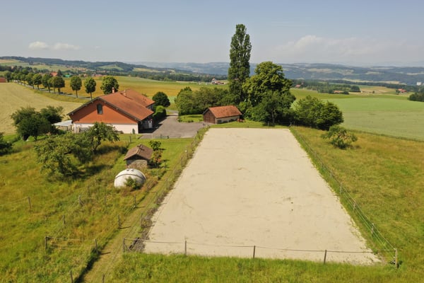 Ferme  équestre rénovée de 220m² habitables + paddock 2
