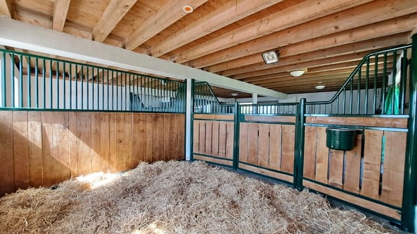 Ferme  équestre rénovée de 220m² habitables + paddock 5