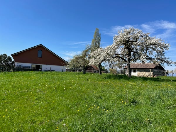 Ferme  équestre rénovée de 220m² habitables + paddock 7