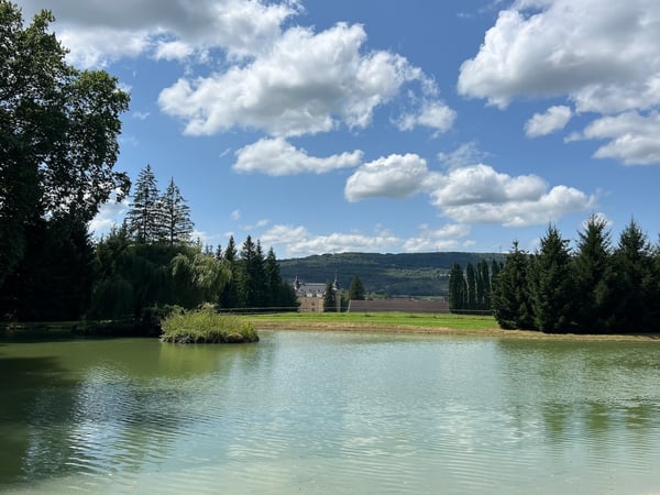Magnifique Château sur 132 hectares 11