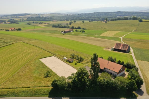 Ferme  équestre rénovée de 220m² habitables + paddock 1