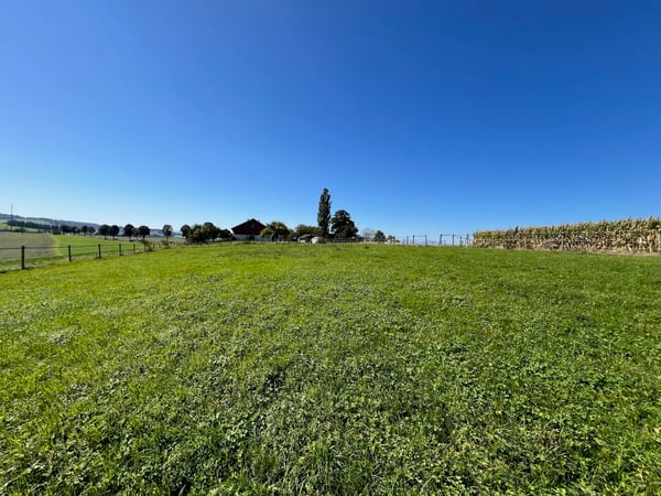 Ferme  équestre rénovée de 220m² habitables + paddock 13