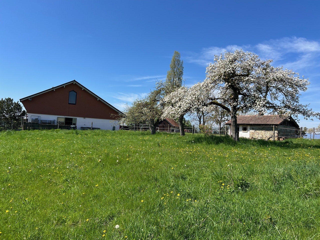 Immobilie in Middes - Ferme  équestre rénovée de 310m² habitables + paddock - Bild 6