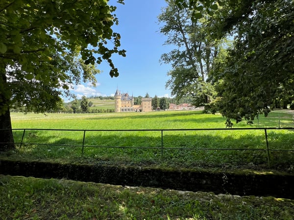 Magnifique Château sur 132 hectares 2