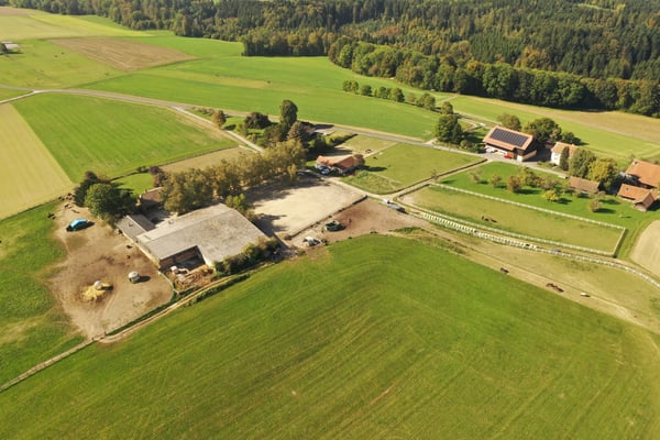 Centre équestre  proche de Lausanne 1