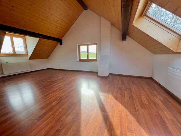 Ferme transformée en 2 spacieux appartements 7