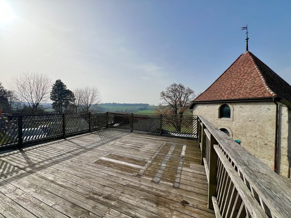 Appartement atypique grand 2,5 pièces avec grande terrasse 1