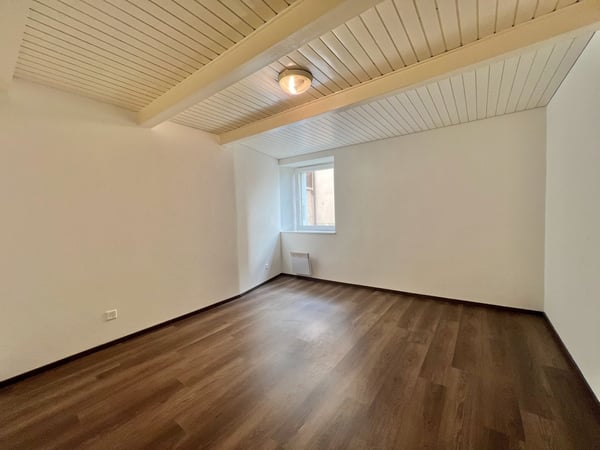 Appartement atypique grand 2,5 pièces avec grande terrasse 6