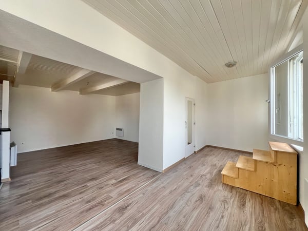 Appartement atypique grand 2,5 pièces avec grande terrasse 5
