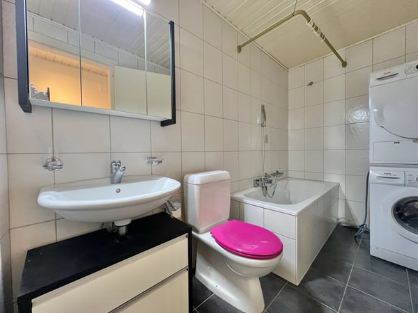 Appartement atypique grand 2,5 pièces avec grande terrasse 7