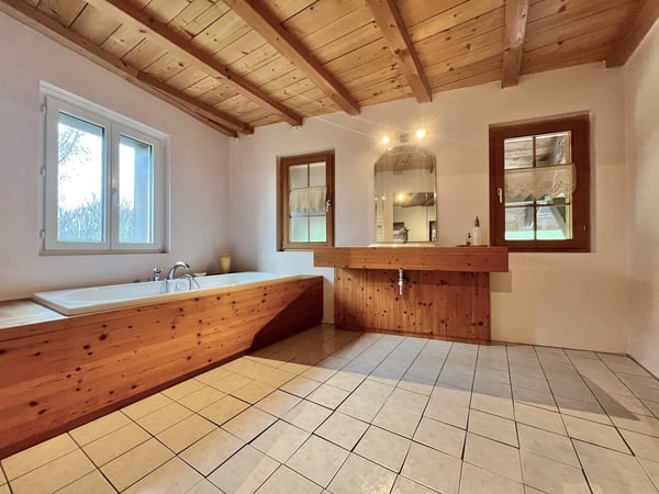 Ferme équestre 4,5 pièces, écurie, paddock, parcs 5