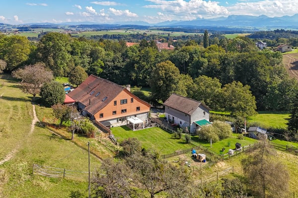 Aperçu de l'image de l'immobilier