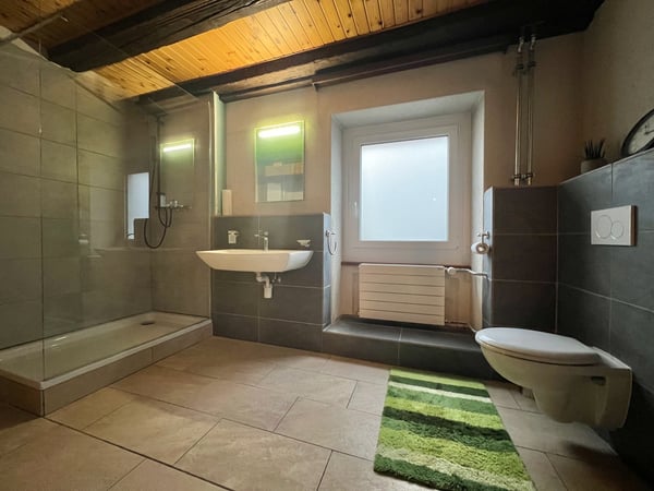 Maison villageoise 140 m2 hab. + grand jardin 8