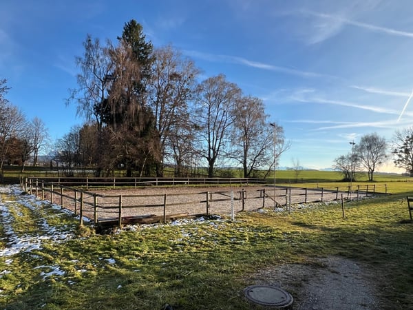 Ferme équestre 4,5 pièces, écurie, paddock, parcs