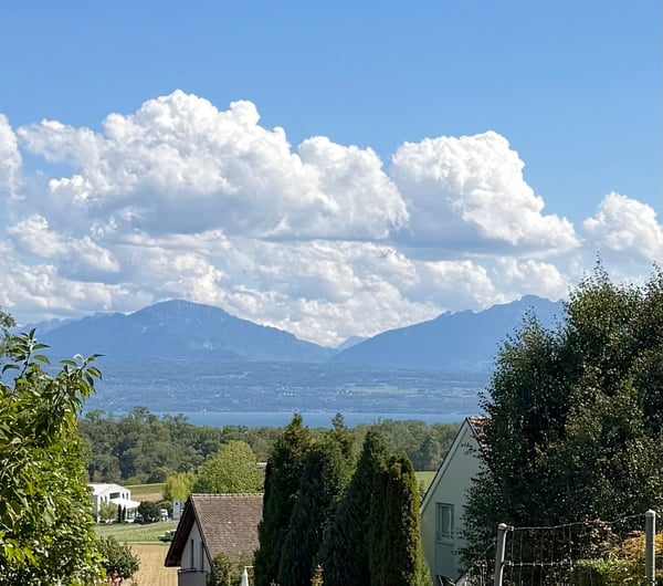 Maison mitoyenne familiale au calme avec petite vue lac 2