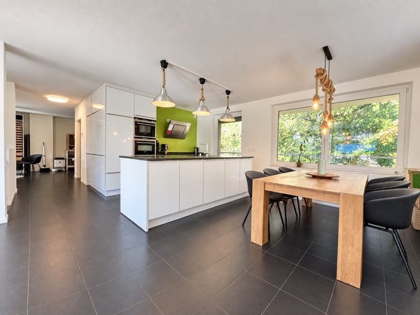 Grand appartement duplex en rez de jardin, immeuble Minergie 1
