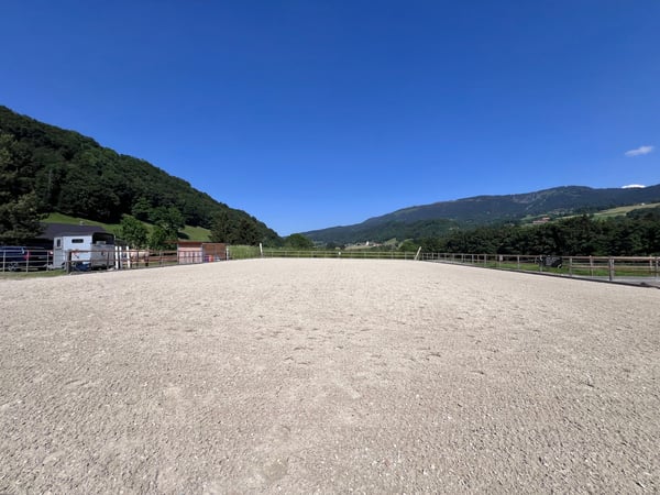À vendre, Ferme, 1649 Pont-la-Ville, Réf 6270477 10