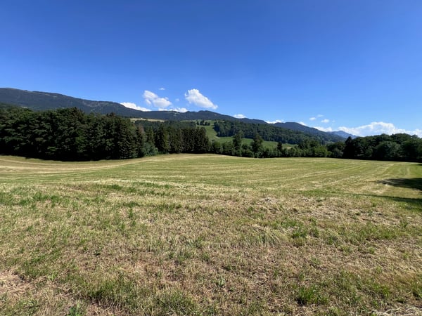 À vendre, Ferme, 1649 Pont-la-Ville, Réf 6270477 11
