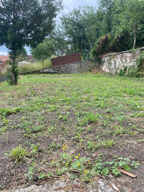 Plus que deux espaces disponibles! Découvrez un jardin, véritable havre de paix, en plein coeur de la ville de Fribourg ! 6