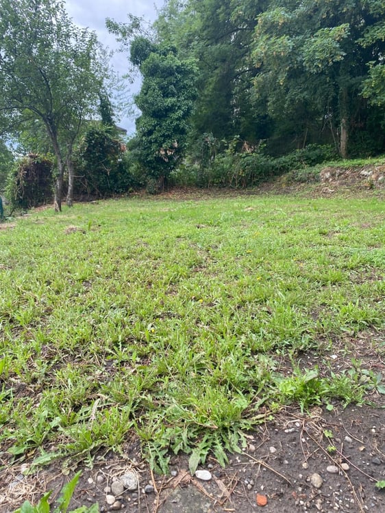 Plus que deux espaces disponibles! Découvrez un jardin, véritable havre de paix, en plein coeur de la ville de Fribourg ! 8