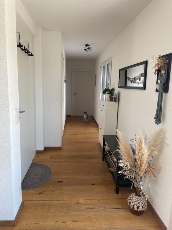 Magnifique appartement spacieux et lumineux à louer à Avenches 1