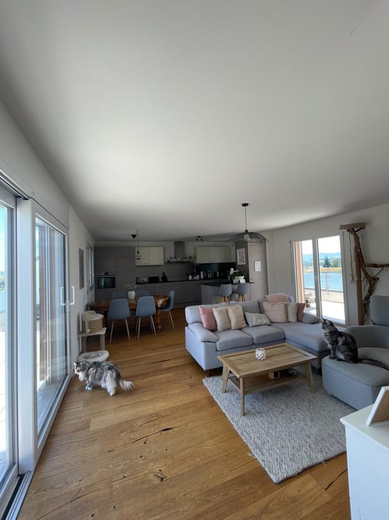 Magnifique appartement spacieux et lumineux à louer à Avenches 4