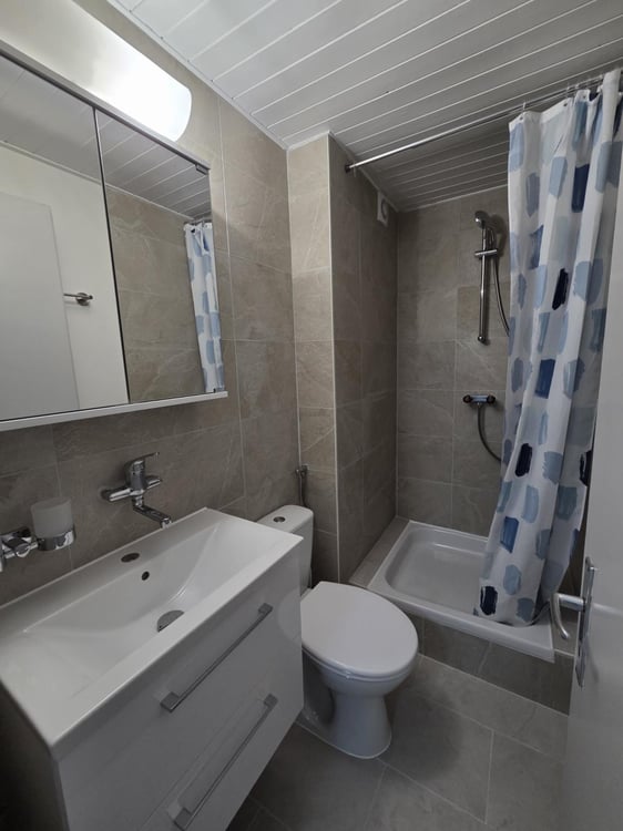 Appartement 1 pièce rénové à louer près de la cathédrale de Fribourg 4