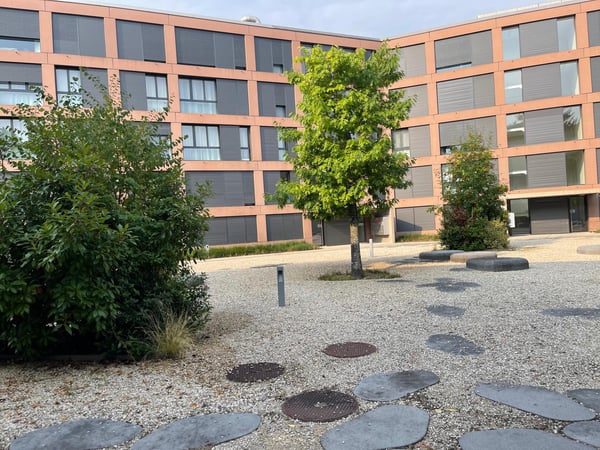 Opportunité à saisir : Atelier lumineux de 32m² au Mont-sur-Lausanne 1