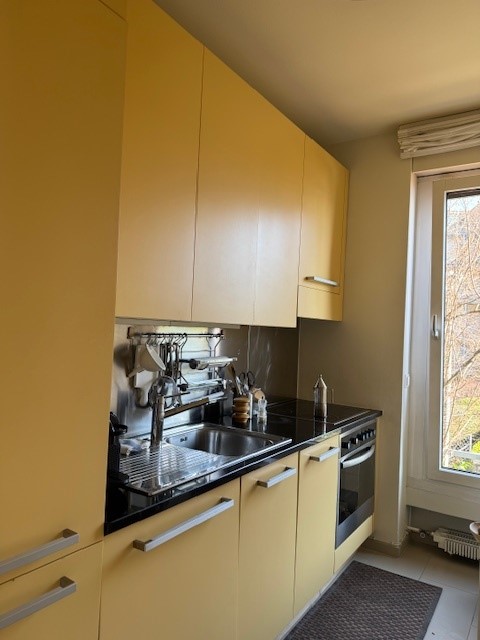 Vendo in centro 1.5 locali con vista lago 8