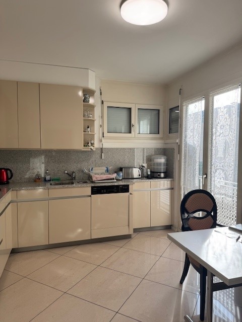 Cassarate splendido appartamento 1.5 locali con vista panoramica 4