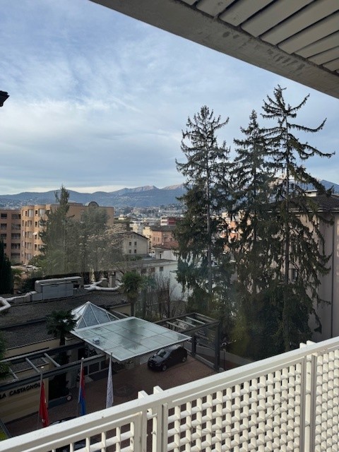 Cassarate splendido appartamento 1.5 locali con vista panoramica 2