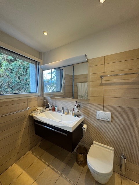 Cassarate splendido appartamento 1.5 locali con vista panoramica 6