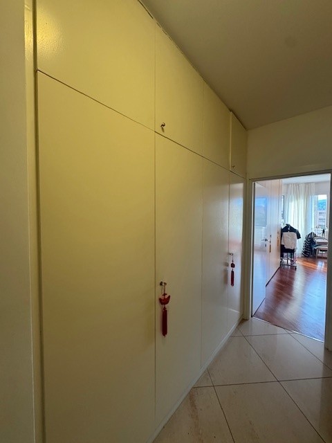 Cassarate splendido appartamento 1.5 locali con vista panoramica 5