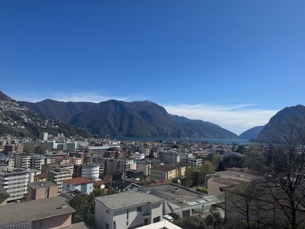 Grande appartamento su 4 liveli 2