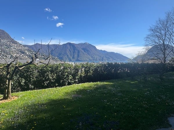 Grande appartamento su 4 liveli 1