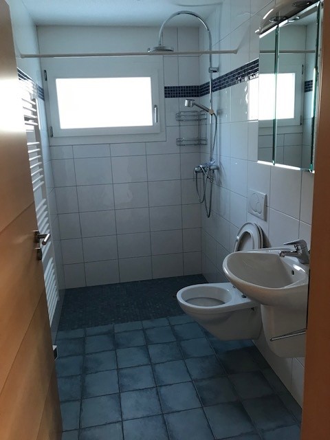 Charmante Wohnung an wunderschöner Lage am Brienzersee 9