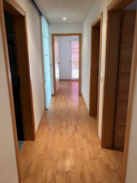 Charmante Wohnung an wunderschöner Lage am Brienzersee 11