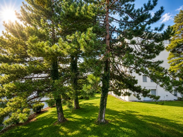 Magnifique appartement moderne 3,5 pièces avec grande terrasse à Sierre 11
