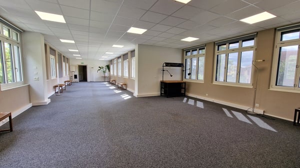 Historisches Wohn- und Geschäftsgebäude mit vielseitigen Möglichkeiten 10