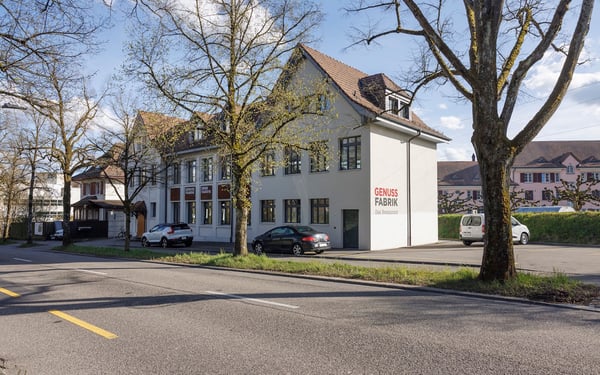 Historisches Wohn- und Geschäftsgebäude mit vielseitigen Möglichkeiten 3