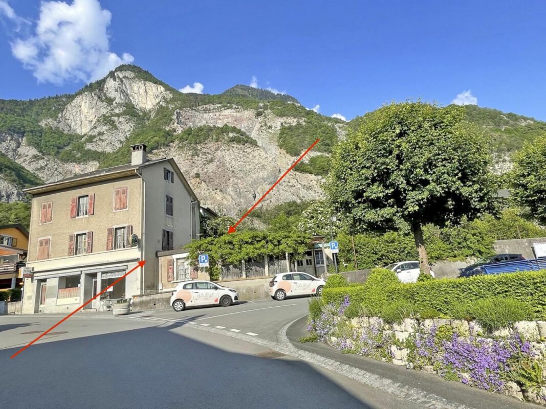 3,5p. tout neuf  jardin et Dents du Midi !