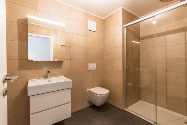 Libre de suite : tout neuf jardin et Dents du Midi ! 10