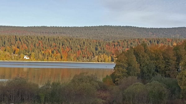 Le privilège d'une première ligne face au lac 11