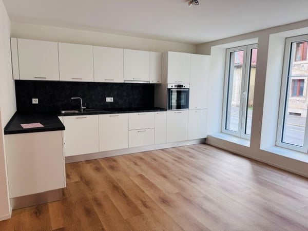 Magnifique appartement de 4.5 pces avec terrasse privée 1