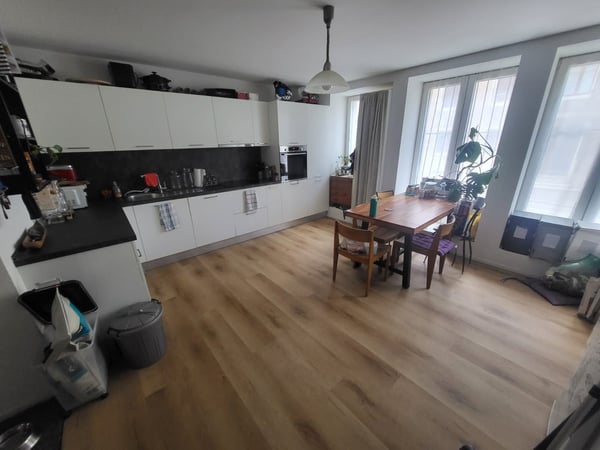 Magnifique appartement de 4.5 pces avec terrasse privée 2