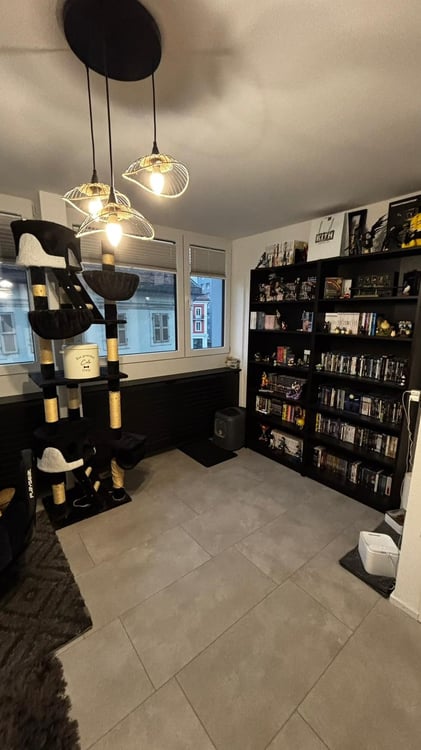Appartement 1.5 pces 6
