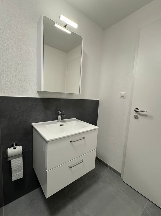 Magnifique studio meublé 6