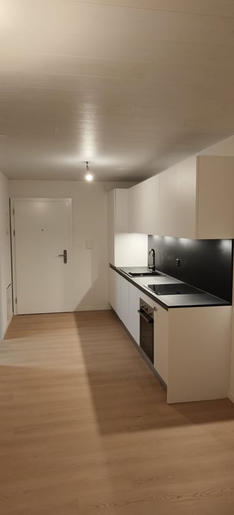 Grand appartement lumineux de 2,5 pièces